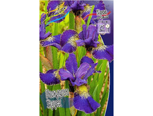 65,15���. ���� ��������� ������ ���(�������� ���� �� 2 ��., ����������� ����� 1��.).jpg