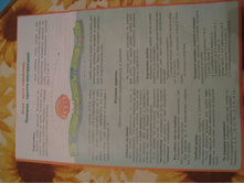 ���������� ���� �����_����������1