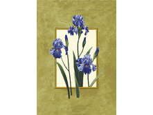 ������ ����� - ����������� �����.jpg