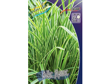 90,5���. ����� (CAREX) ��� ����(�������� ���� �� 1 ��., ����������� ����� 1��.).jpg