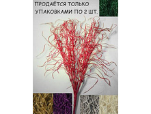 11/0010� ����� ��