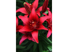 30,48���. ����� ����� ����(�������� ���� �� 5 ��., ����������� ����� 1��.).jpg