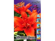 46,04���. ����� ����� ����(�������� ���� �� 5 ��., ����������� ����� 1��.).jpg