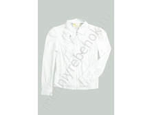 ���. 1686 DLBX.jpg