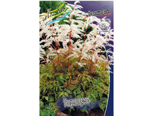 188,3���. �������� �������(�������� ���� �� 1 ��., ����������� ����� 1��.).jpg