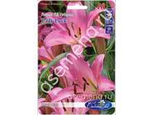 ���� ���.jpg