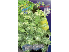 180���. ������ ���� �'����(�������� ���� �� 1 ��., ����������� ����� 1��.).jpg