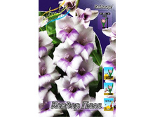 8,91���. ��������� ������ ����(���������� ������ ������ ���������� �� 8 ��.).jpg