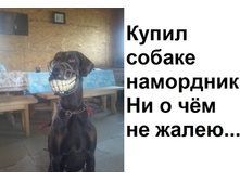 ����� ������ ��������� ...