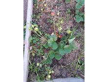20151006 063228.jpg