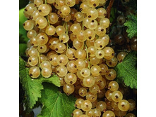 147���. ��������� ����� �������.jpg