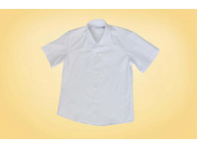 ������� �-� ���.501�-150 � �������� ������� ������ ����� � �������� �� ����� ���� 450 �..jpg