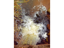 IMG 20151001 134818.jpg