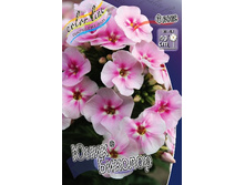 106,6���. ����� ����- �������(�������� ���� �� 2 ��., ����������� ����� 1��.).jpg