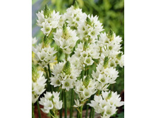 16,29���. ����������� ����� �����(���������� �� ����� �������� �� 7��.).jpg