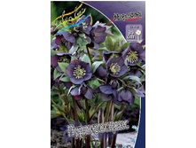 213,2���. �������� ������������(�������� ���� �� 1 ��., ����������� ����� 1��.).jpg