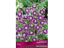 ��������� ������ ������� ������ ������.jpg