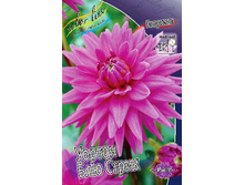 84,8���. �������� ������ ��� �����(�������� ���� �� 1 ��., ����������� ����� 1��.).jpg