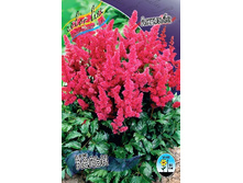 67,6���. �������� ����(�������� ���� �� 1 ��., ����������� ����� 1��.).jpg