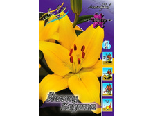 26,16���. ����� ������ ������(�������� ���� �� 5 ��., ����������� ����� 1��.).jpg