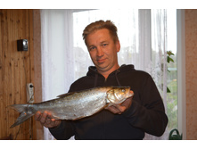 ����� 1.4��