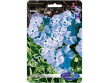 ����� ���.jpg