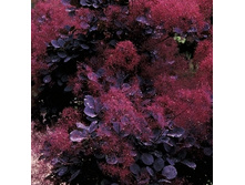 178���. ������� ���������� ����� �����.jpg