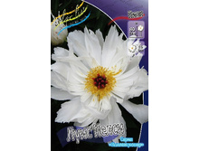 263���. ���� ���� �����(�������� ���� �� 1 ��., ����������� ����� 1��.).jpg