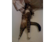 ���� 0099.jpg