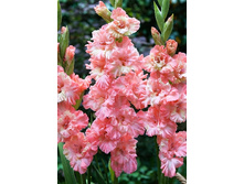 9,83���. ��������� ������� ����(���������� ������ ������ ���������� �� 8 ��.)���15.jpg