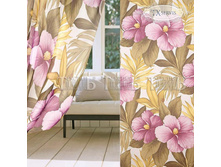 ����� ����� 66498.jpg