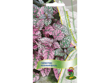 �������� ������� �����	, �������� -	4	��, ���� 9,80	+17%