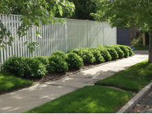 ���� ����������� �����-143