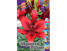 24,44���. ����� �������� ������(�������� ���� �� 5 ��., ����������� ����� 1��.).jpg