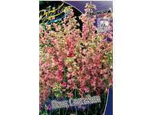 113,7���. ���������� ���� ��������(�������� ���� �� 1 ��., ����������� ����� 1��.).jpg