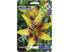 ������ �����.jpg