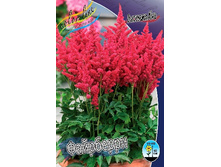 93,8���. �������� ���������(�������� ���� �� 1 ��., ����������� ����� 1��.).jpg