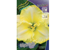 196,6���. �������� ���� ����(�������� ���� �� 1 ��., ����������� ����� 1��.).jpg