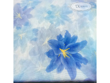 �����-������ Jasmine ����� ZXY001.jpg