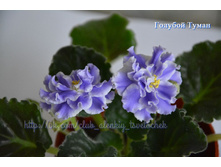 ������� �����