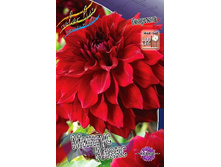 91,2���. �������� ������ �����(�������� ���� �� 1 ��., ����������� ����� 1��.).jpg