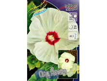 229,8���. �������� ��������� ��� �����(�������� ���� �� 1 ��., ����������� ����� 1��.).jpg