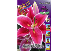 46,9���. ����� ����� ���(�������� ���� �� 5 ��., ����������� ����� 1��.).jpg