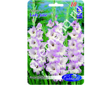 ���� �����.jpg