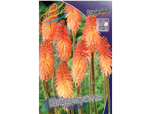 118,6���. �������� ������������(�������� ���� �� 1 ��., ����������� ����� 1��.).jpg