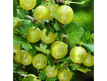 149���. ��������� ���������� ����.jpg