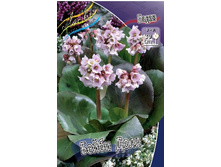 90���. ����� ����� ����(�������� ���� �� 2 ��., ����������� ����� 1��.).jpg