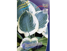 163,4���. ����� ������ ���(�������� ���� �� 1 ��., ����������� ����� 1��.).jpg