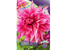 88,5���. �������� ����(�������� ���� �� 1 ��., ����������� ����� 1��.).jpg