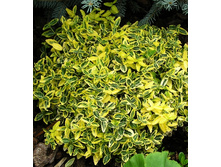 112���. ��������� ������� ���������� ����.jpg